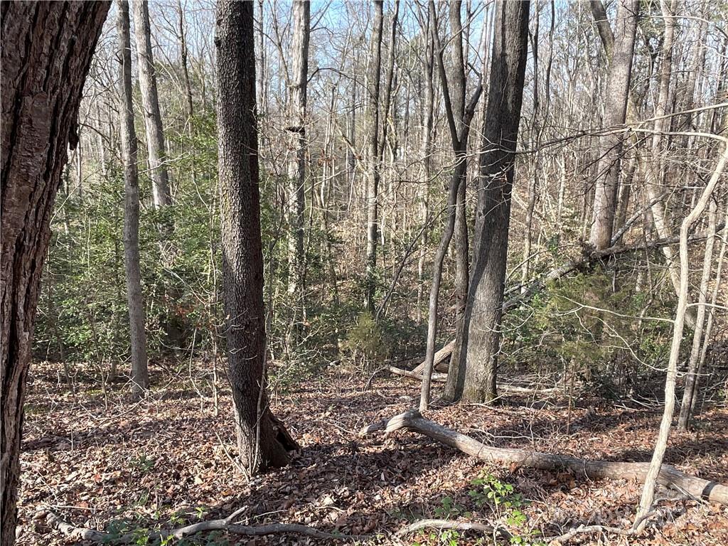 161 Little River Trail Lancaster SC 29720