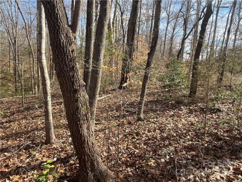 161 Little River Trail Lancaster SC 29720