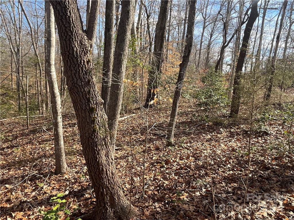 161 Little River Trail Lancaster SC 29720