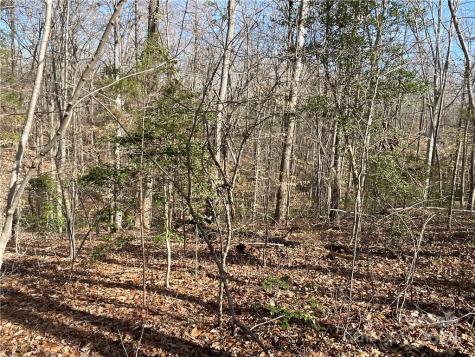 161 Little River Trail Lancaster SC 29720