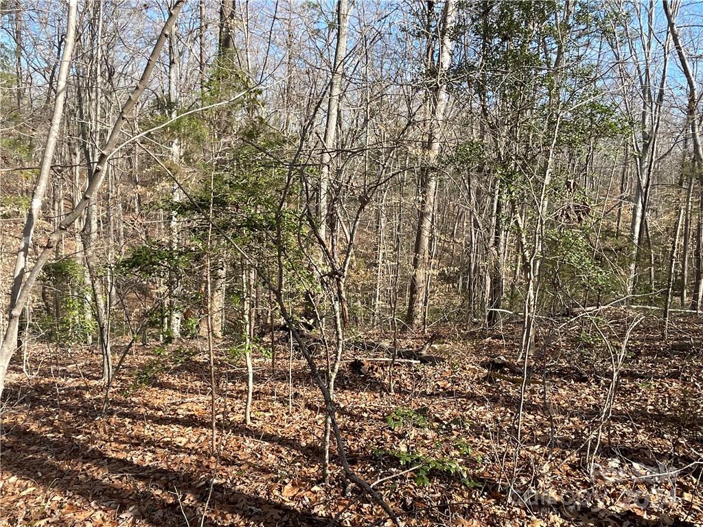 161 Little River Trail Lancaster SC 29720