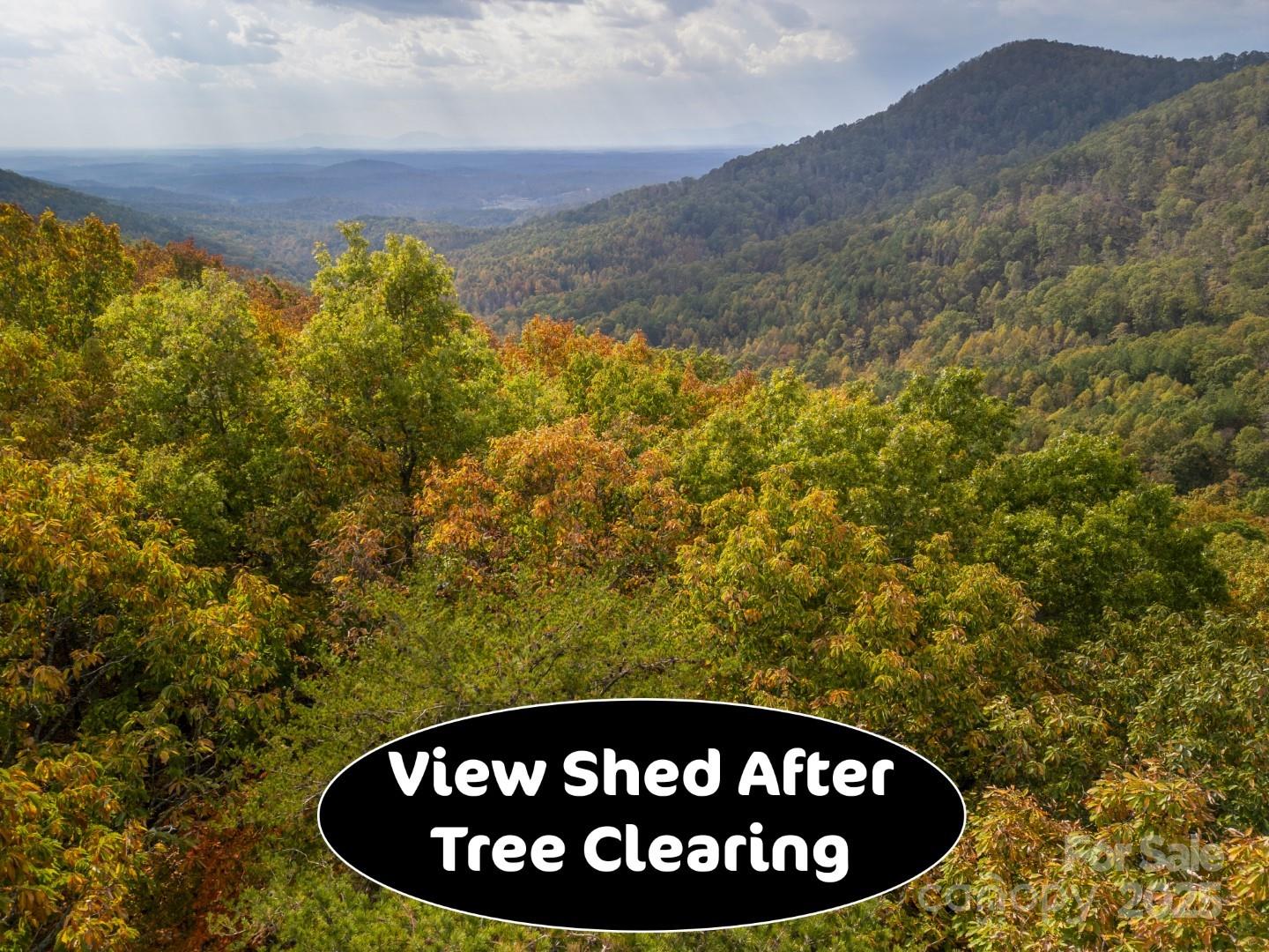 30 Mountain Lookout Drive Bostic NC 28018