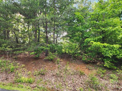 30 Mountain Lookout Drive Bostic NC 28018