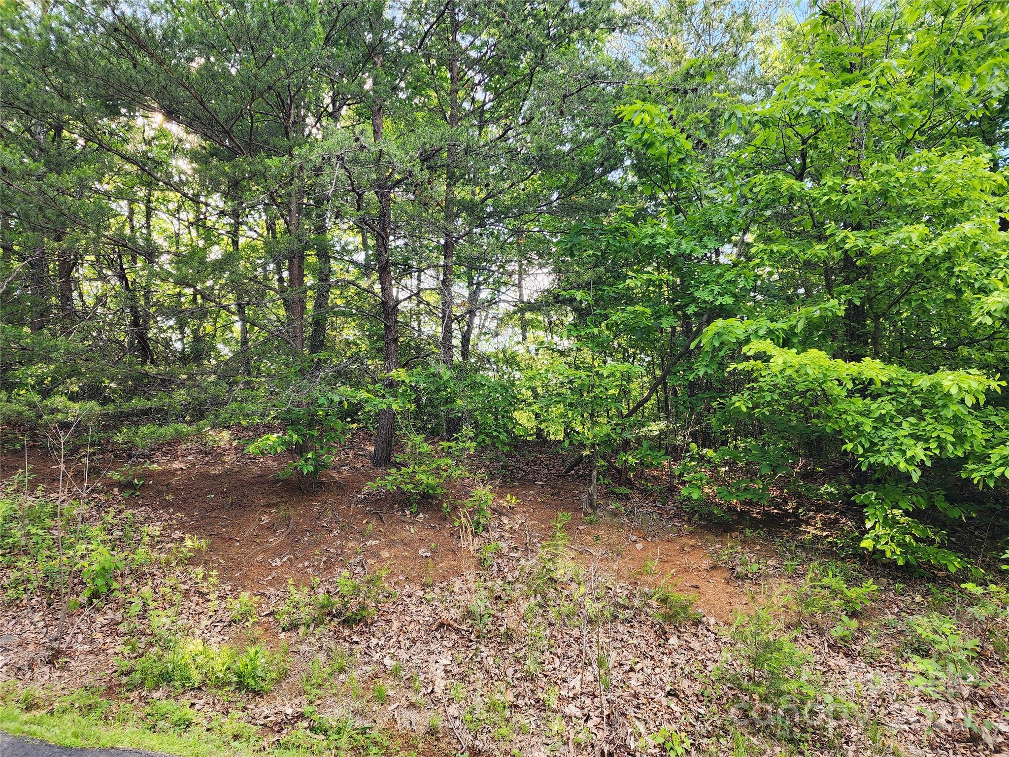 30 Mountain Lookout Drive Bostic NC 28018