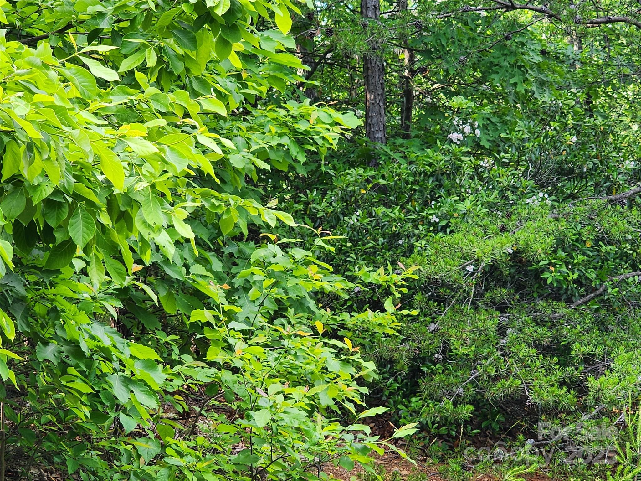 30 Mountain Lookout Drive Bostic NC 28018