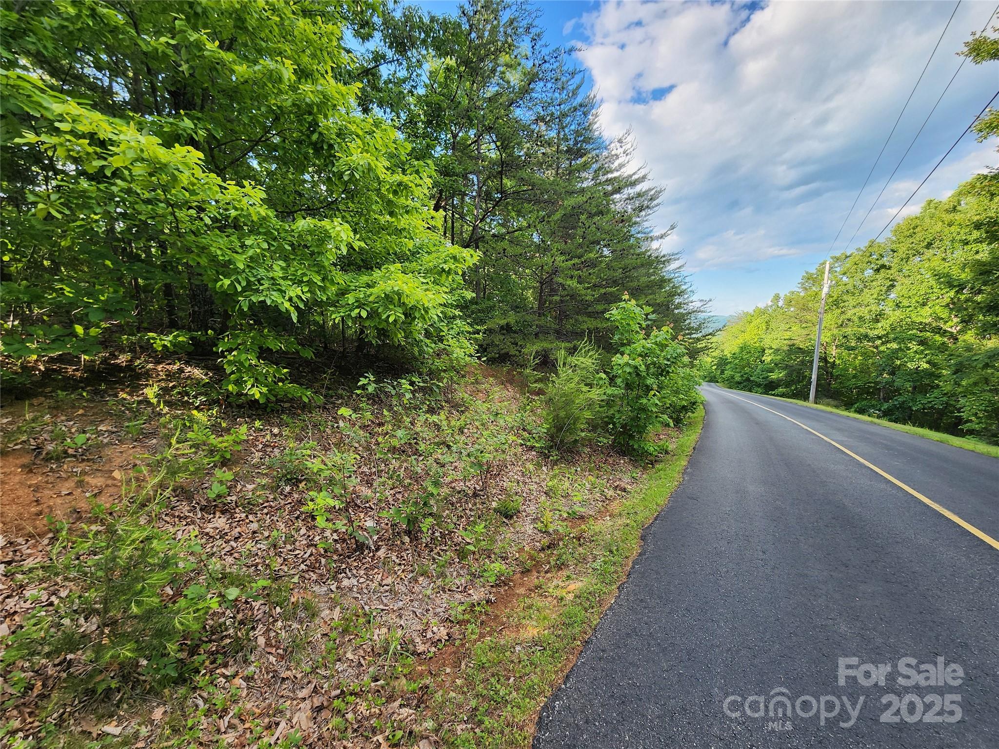 30 Mountain Lookout Drive Bostic NC 28018