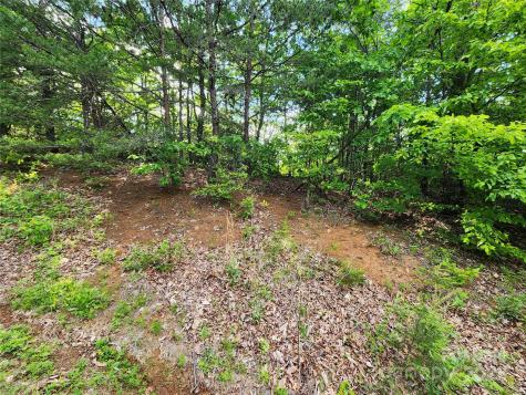 30 Mountain Lookout Drive Bostic NC 28018