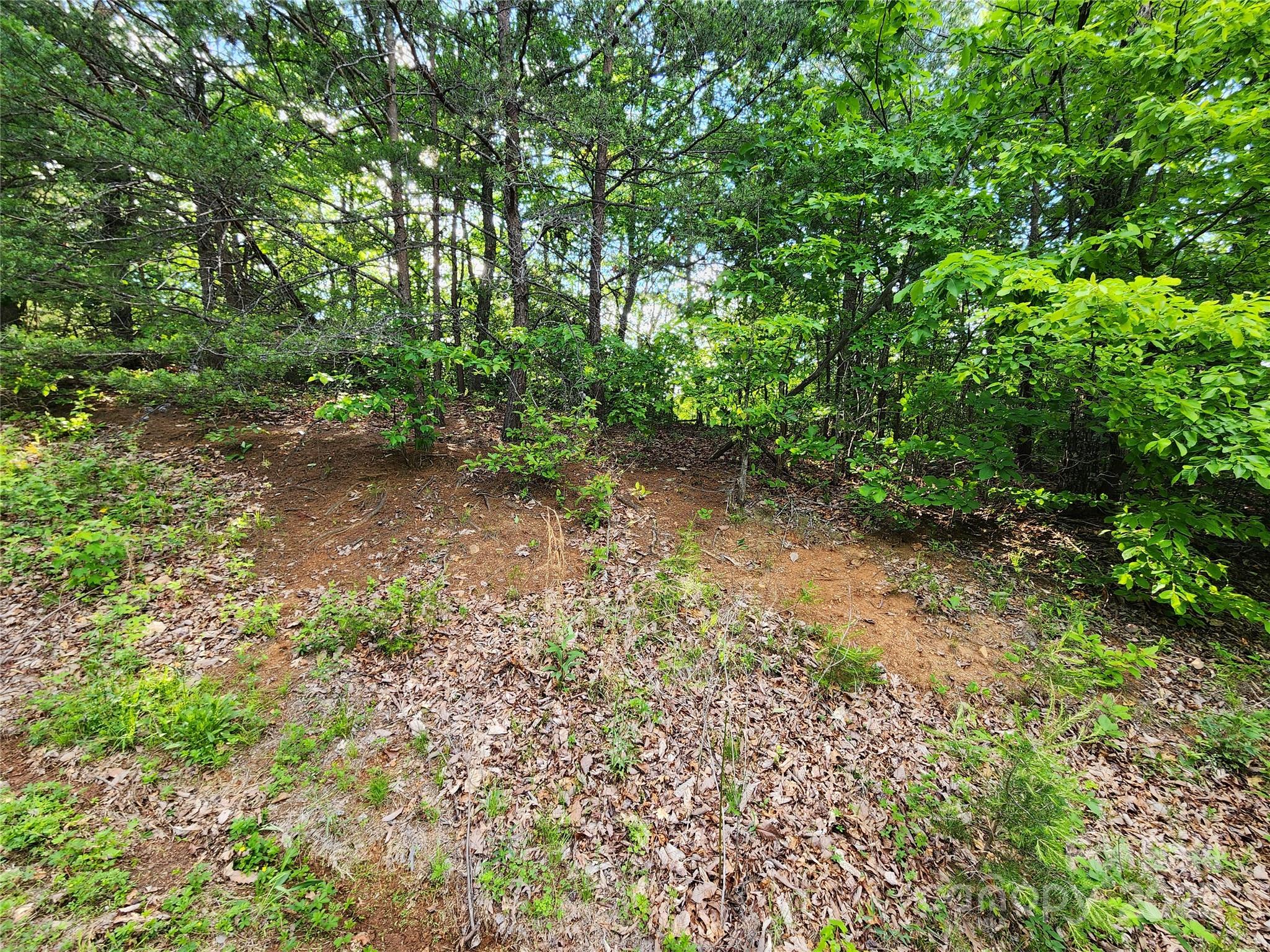 30 Mountain Lookout Drive Bostic NC 28018