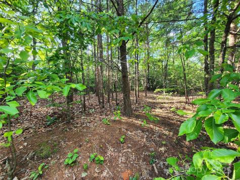 30 Mountain Lookout Drive Bostic NC 28018
