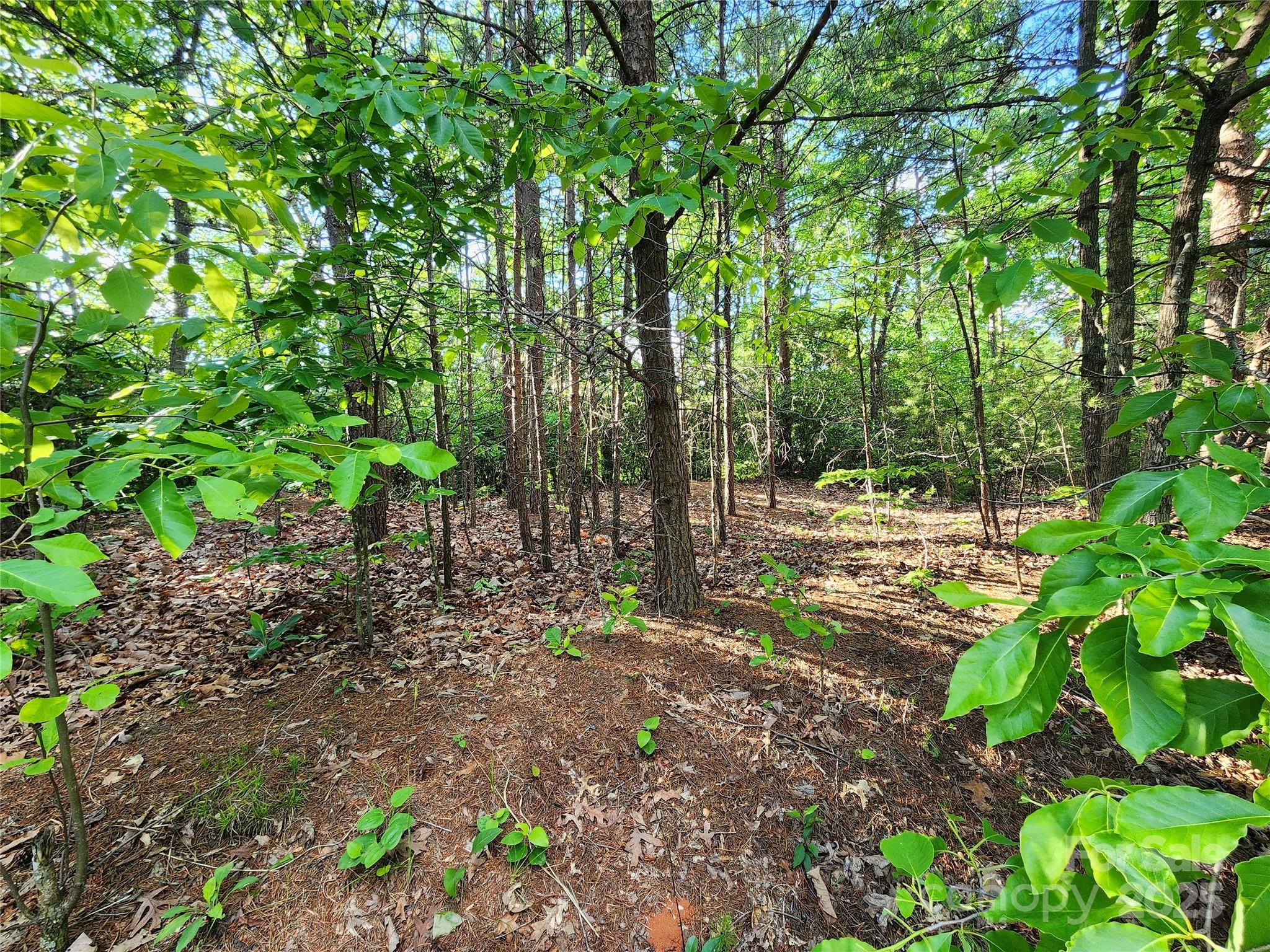 30 Mountain Lookout Drive Bostic NC 28018