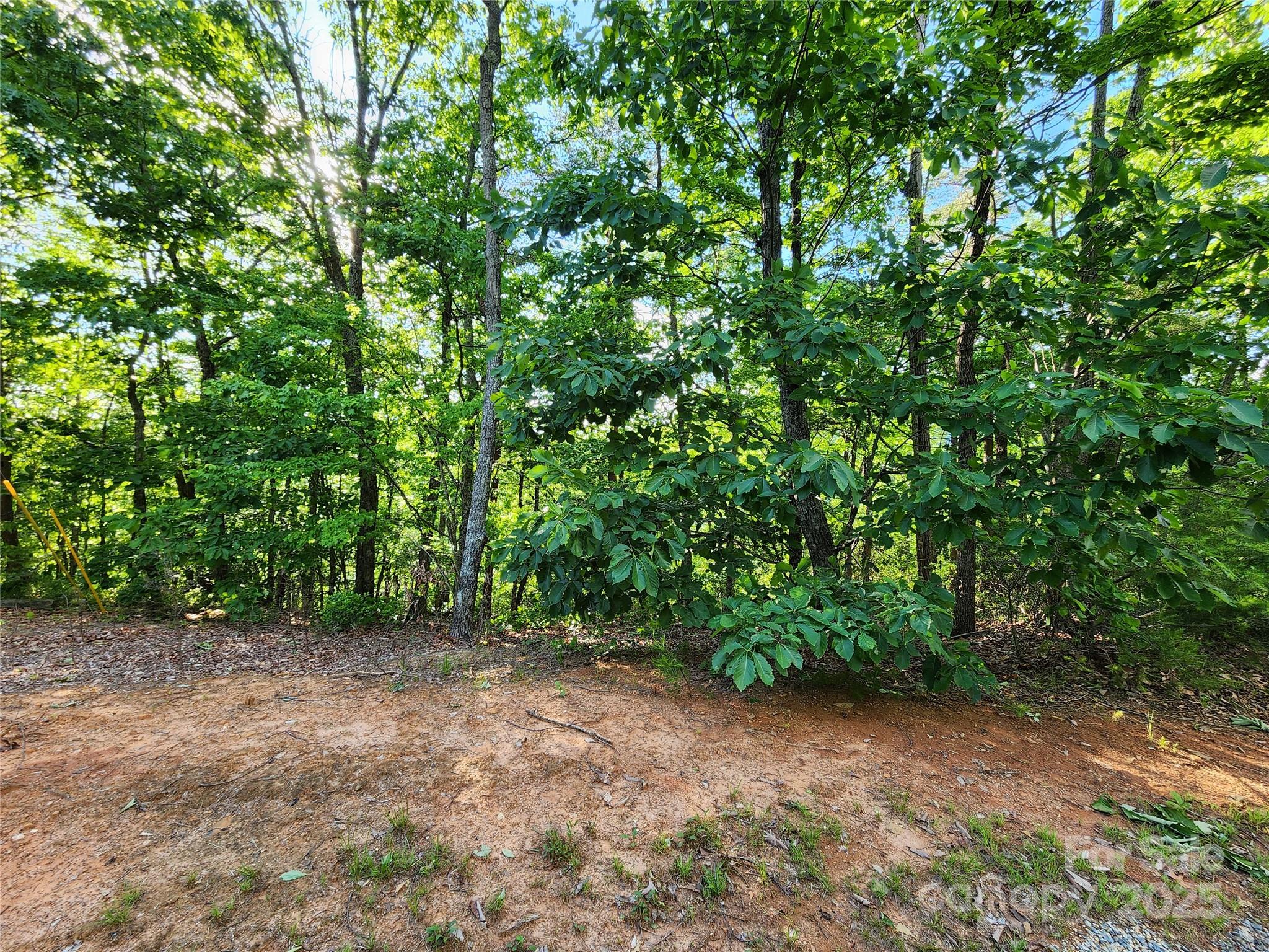 30 Mountain Lookout Drive Bostic NC 28018
