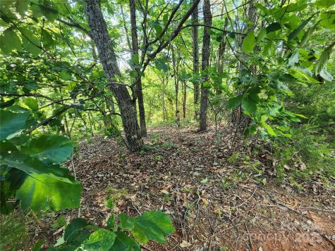 30 Mountain Lookout Drive Bostic NC 28018