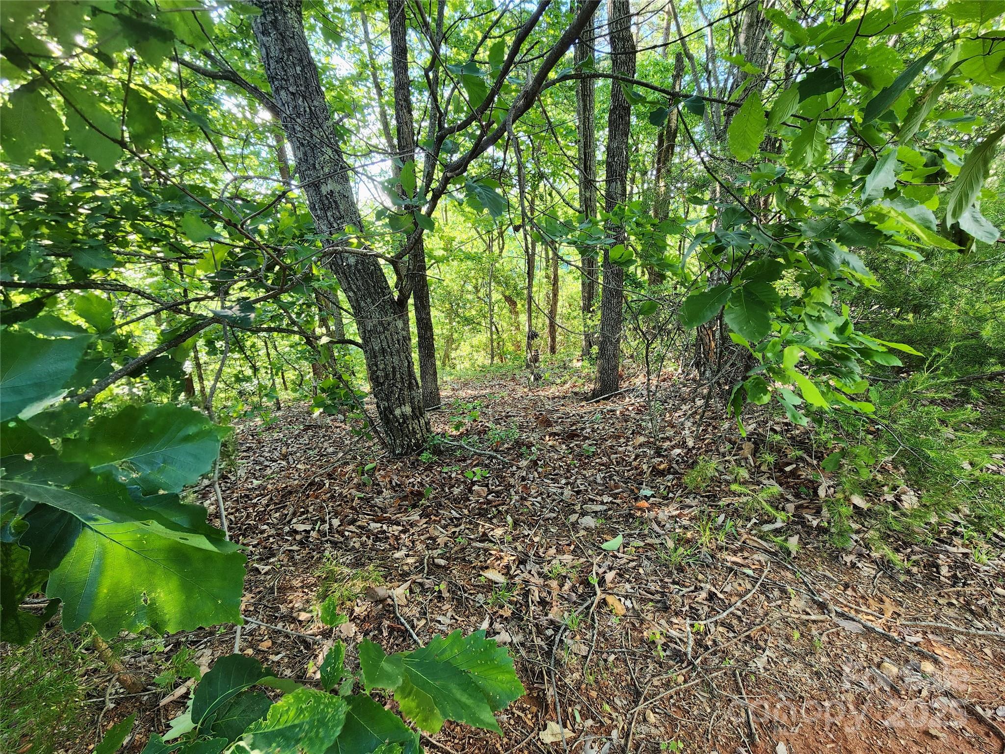 30 Mountain Lookout Drive Bostic NC 28018