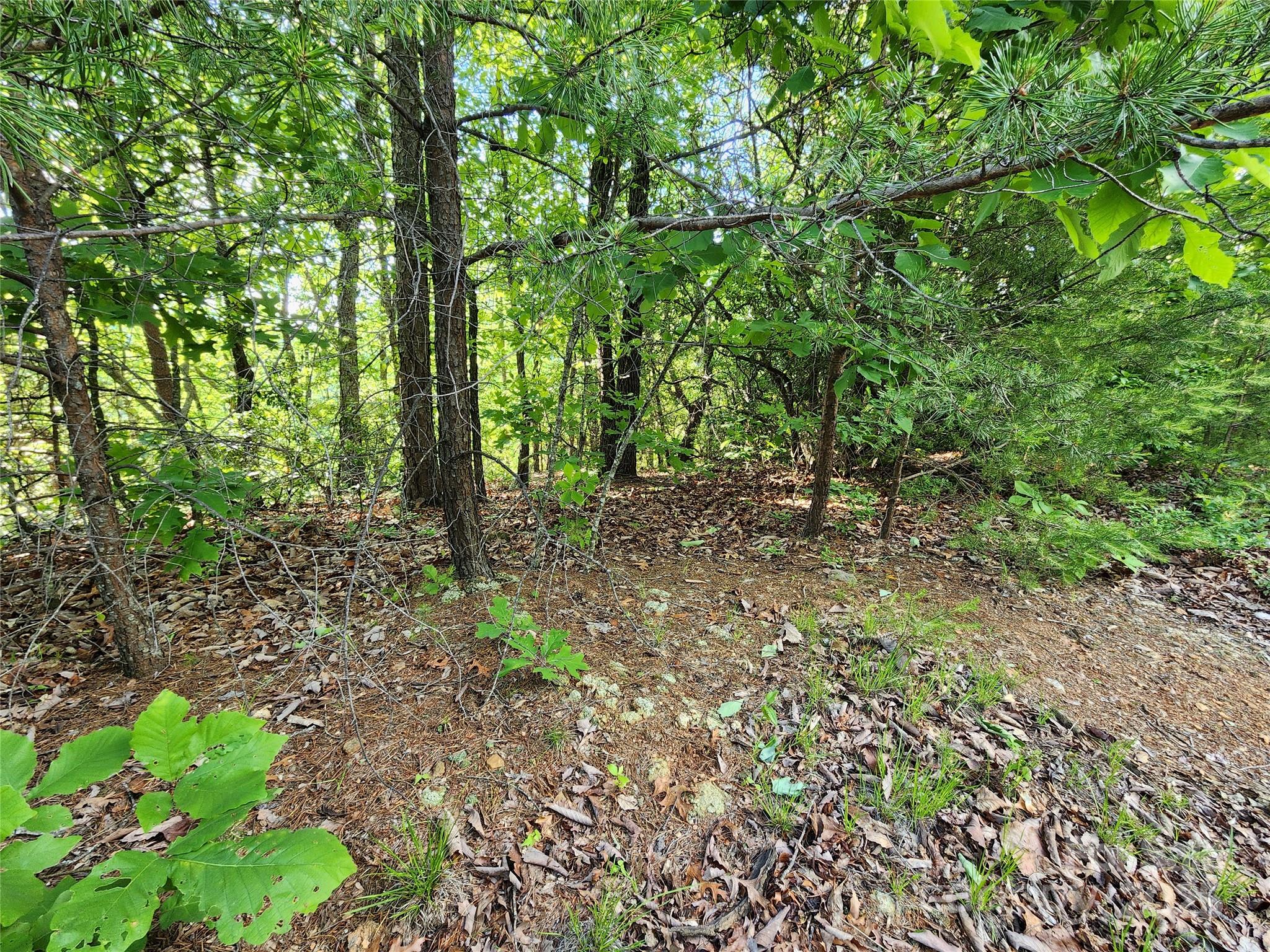 30 Mountain Lookout Drive Bostic NC 28018