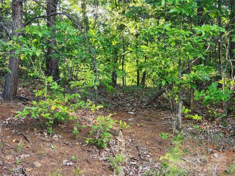 30 Mountain Lookout Drive Bostic NC 28018