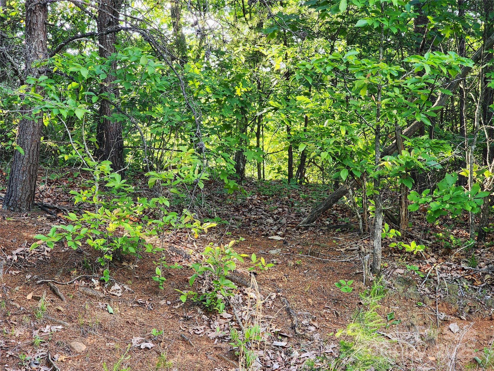 30 Mountain Lookout Drive Bostic NC 28018