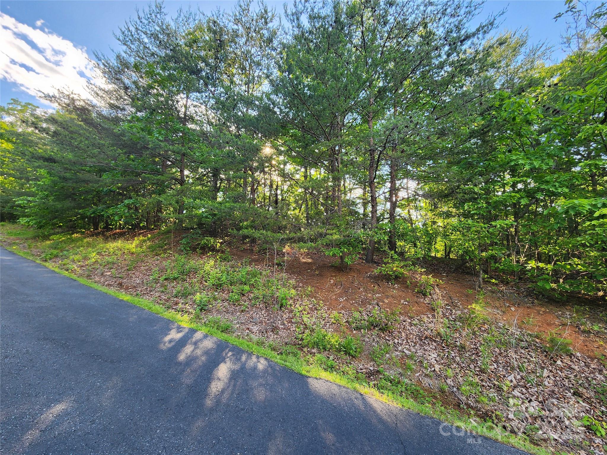 30 Mountain Lookout Drive Bostic NC 28018