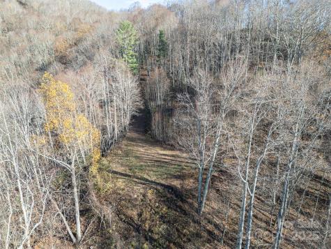 1098 Hyacinth Drive Clyde NC 28721