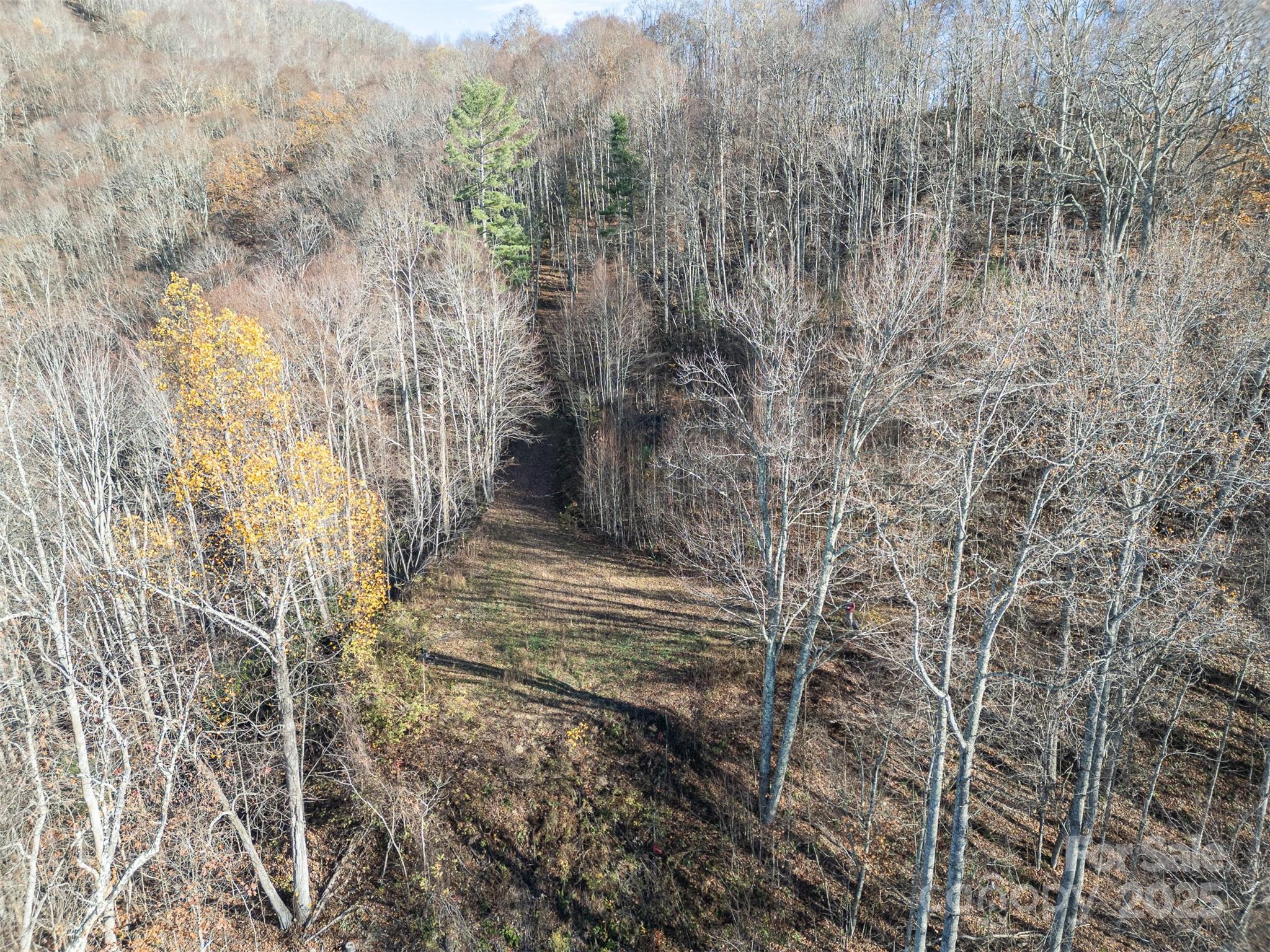 1098 Hyacinth Drive Clyde NC 28721