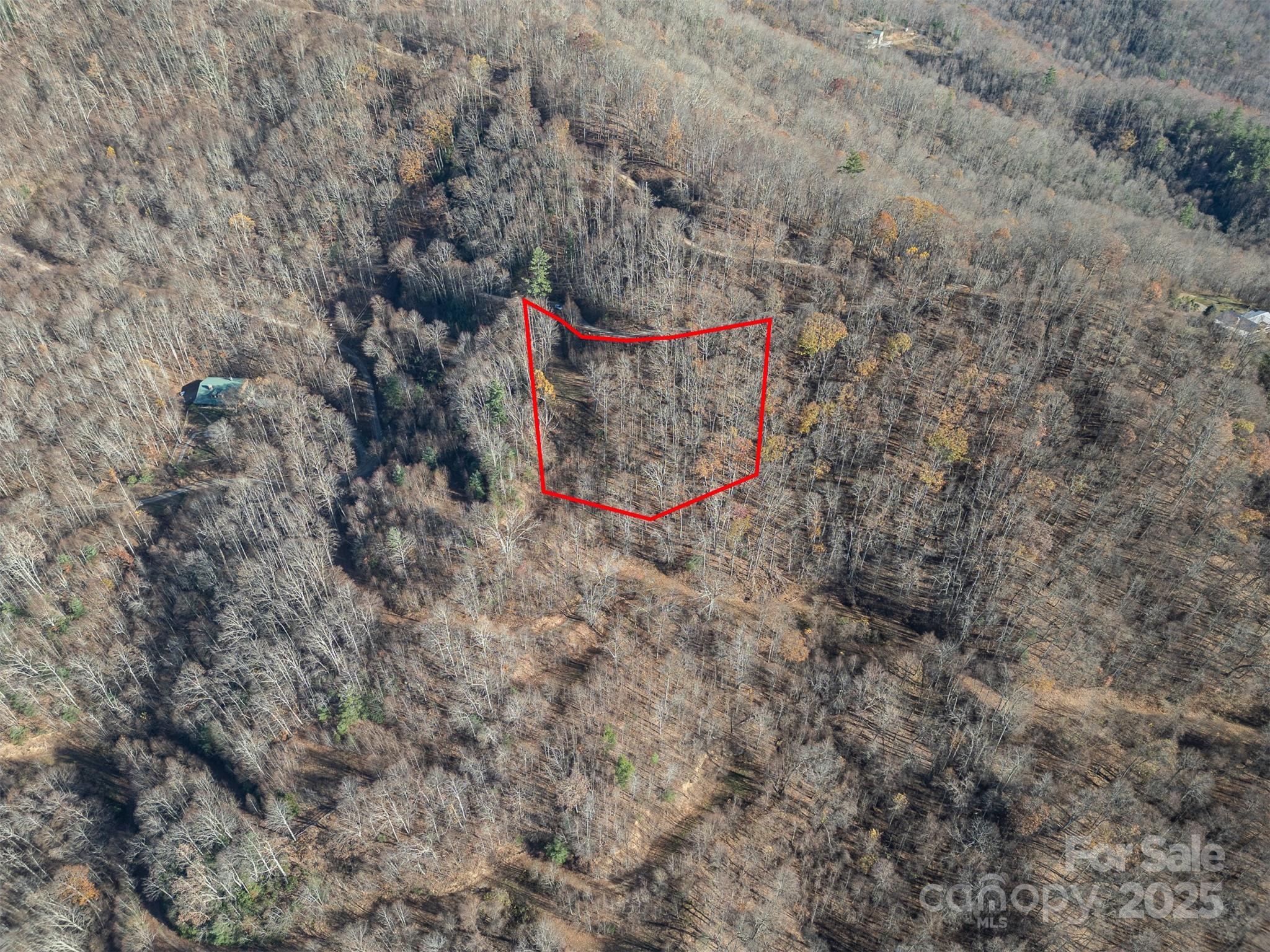 1098 Hyacinth Drive Clyde NC 28721