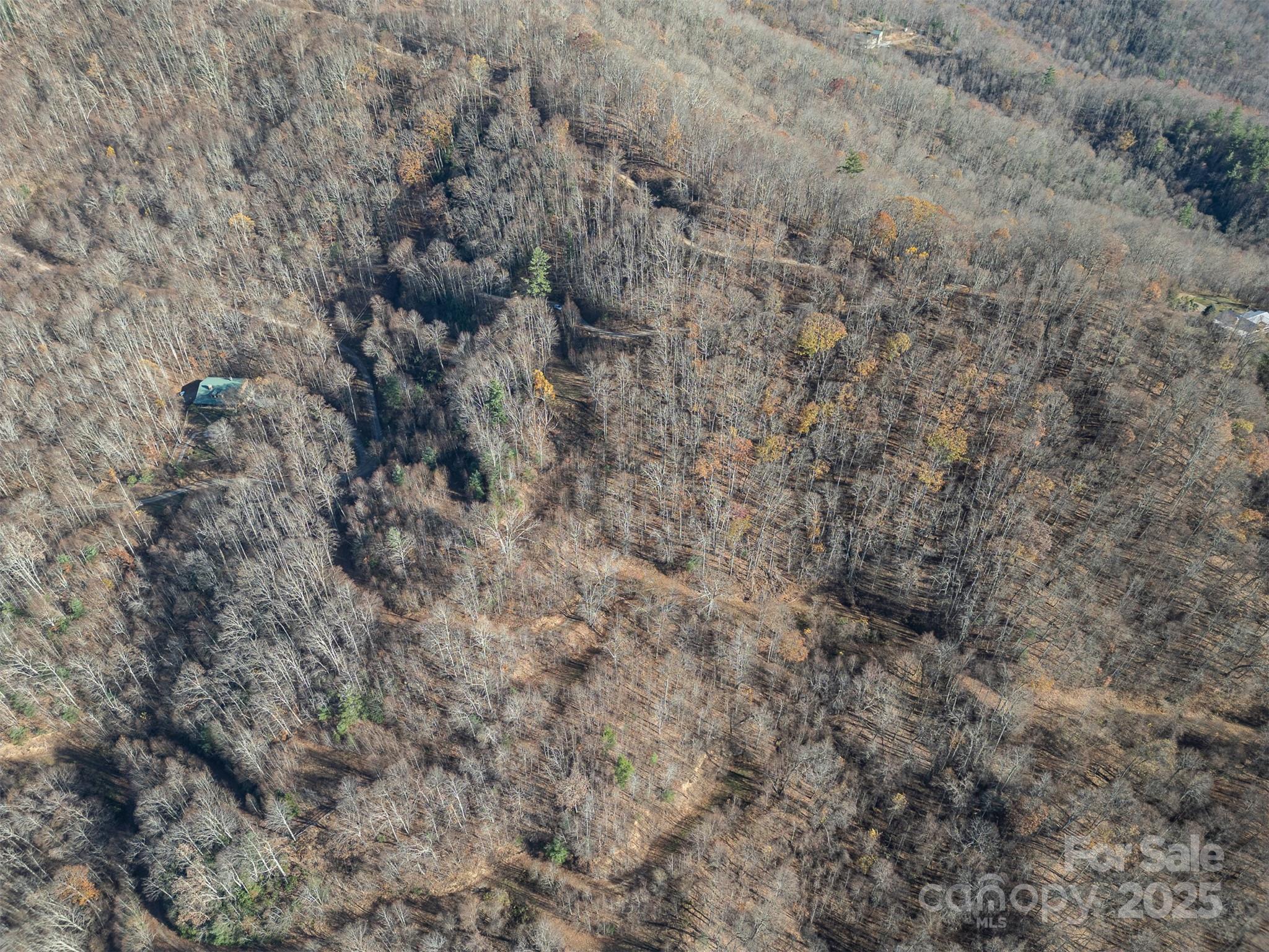 1098 Hyacinth Drive Clyde NC 28721