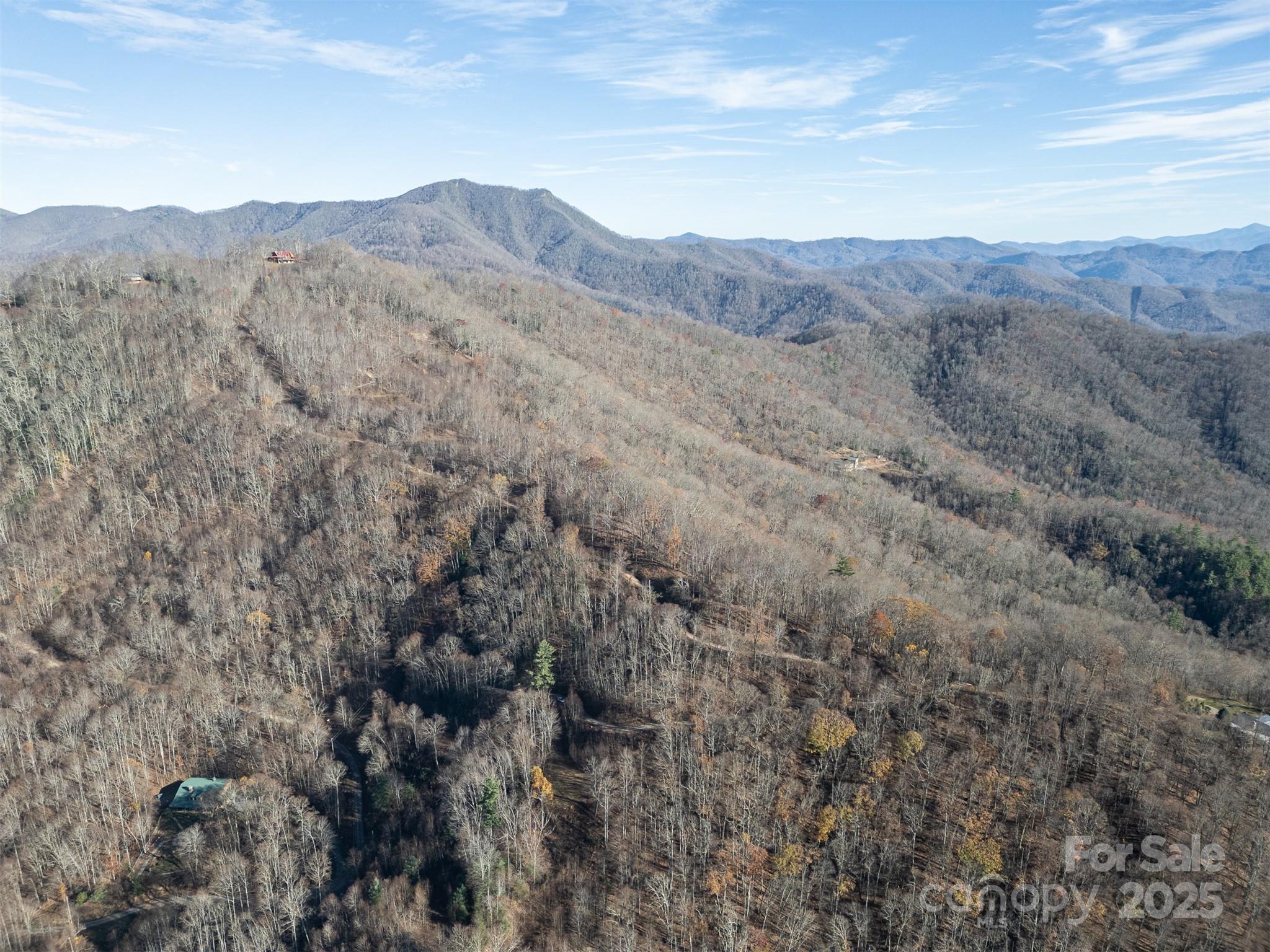 1098 Hyacinth Drive Clyde NC 28721
