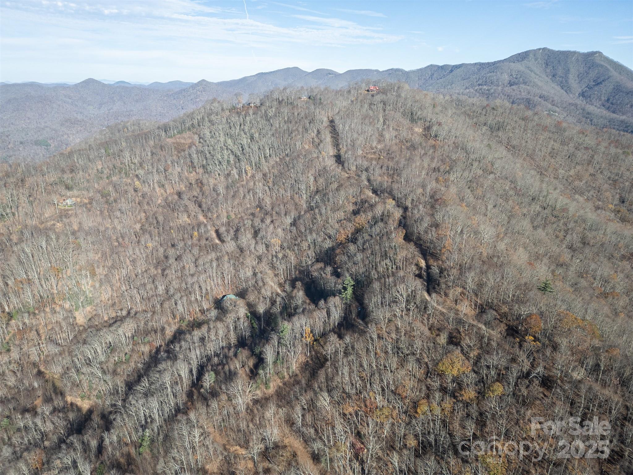 1098 Hyacinth Drive Clyde NC 28721