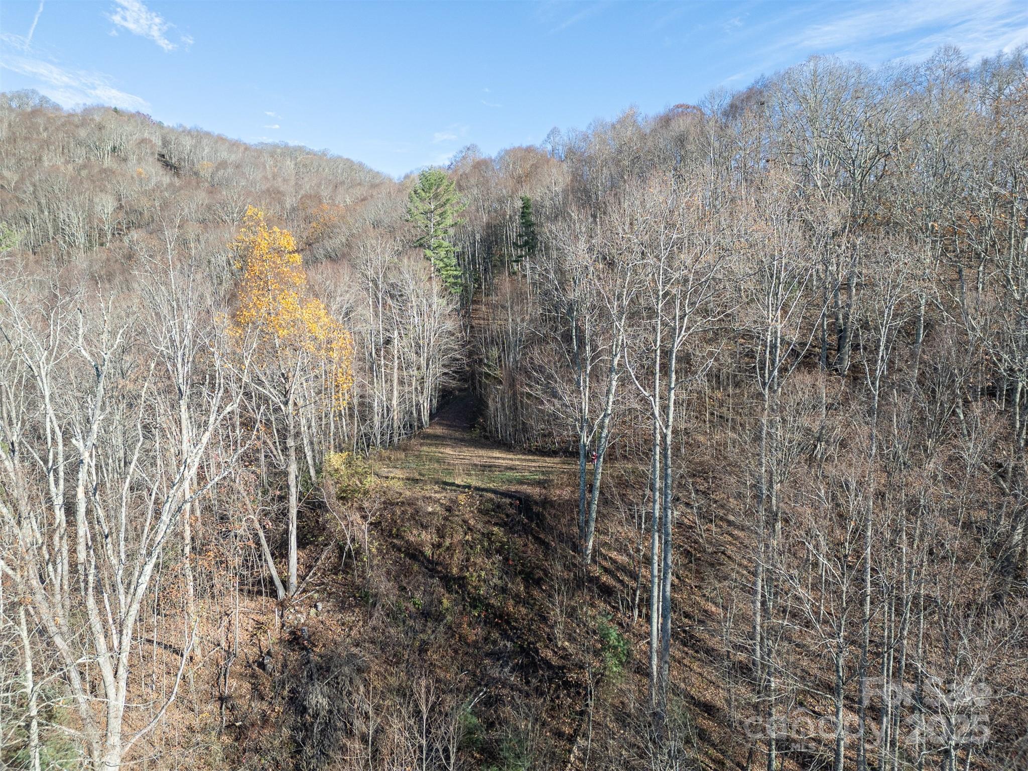 1098 Hyacinth Drive Clyde NC 28721