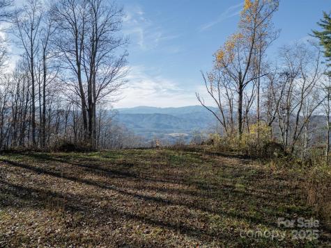 1098 Hyacinth Drive Clyde NC 28721