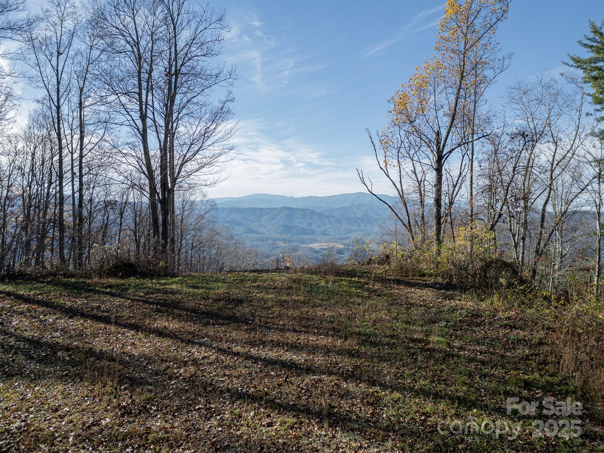 1098 Hyacinth Drive Clyde NC 28721