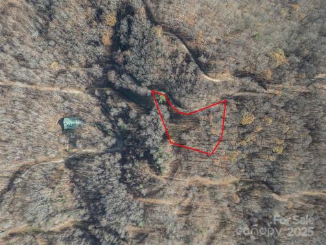 1098 Hyacinth Drive Clyde NC 28721