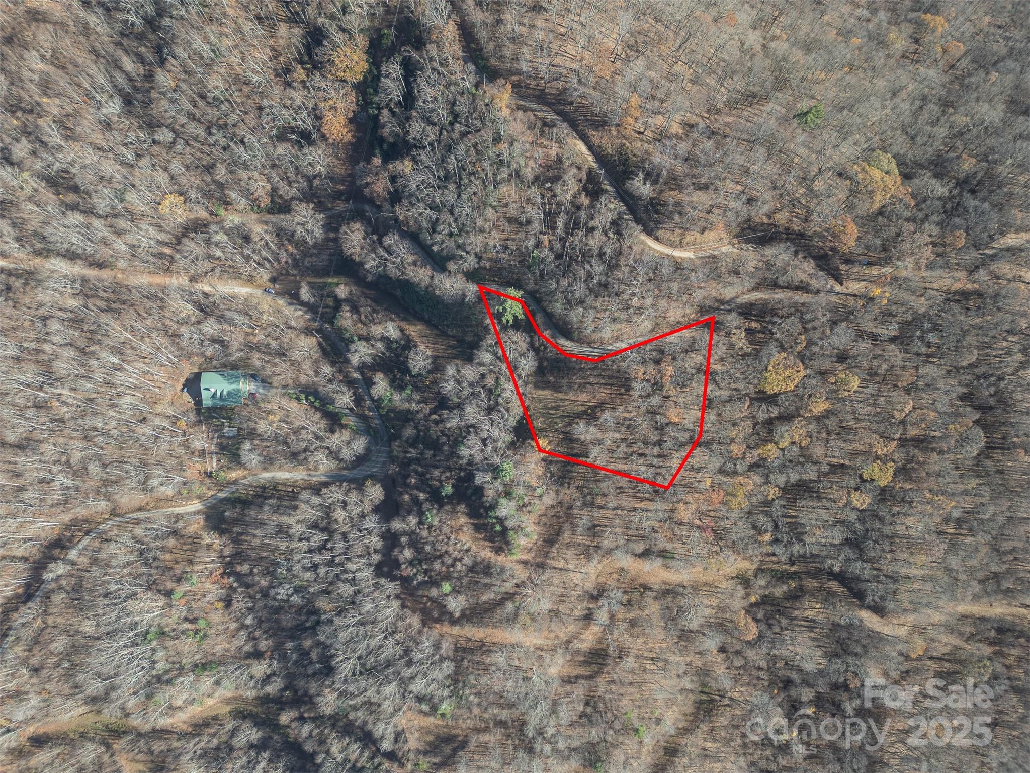 1098 Hyacinth Drive Clyde NC 28721