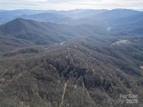 1098 Hyacinth Drive Clyde NC 28721