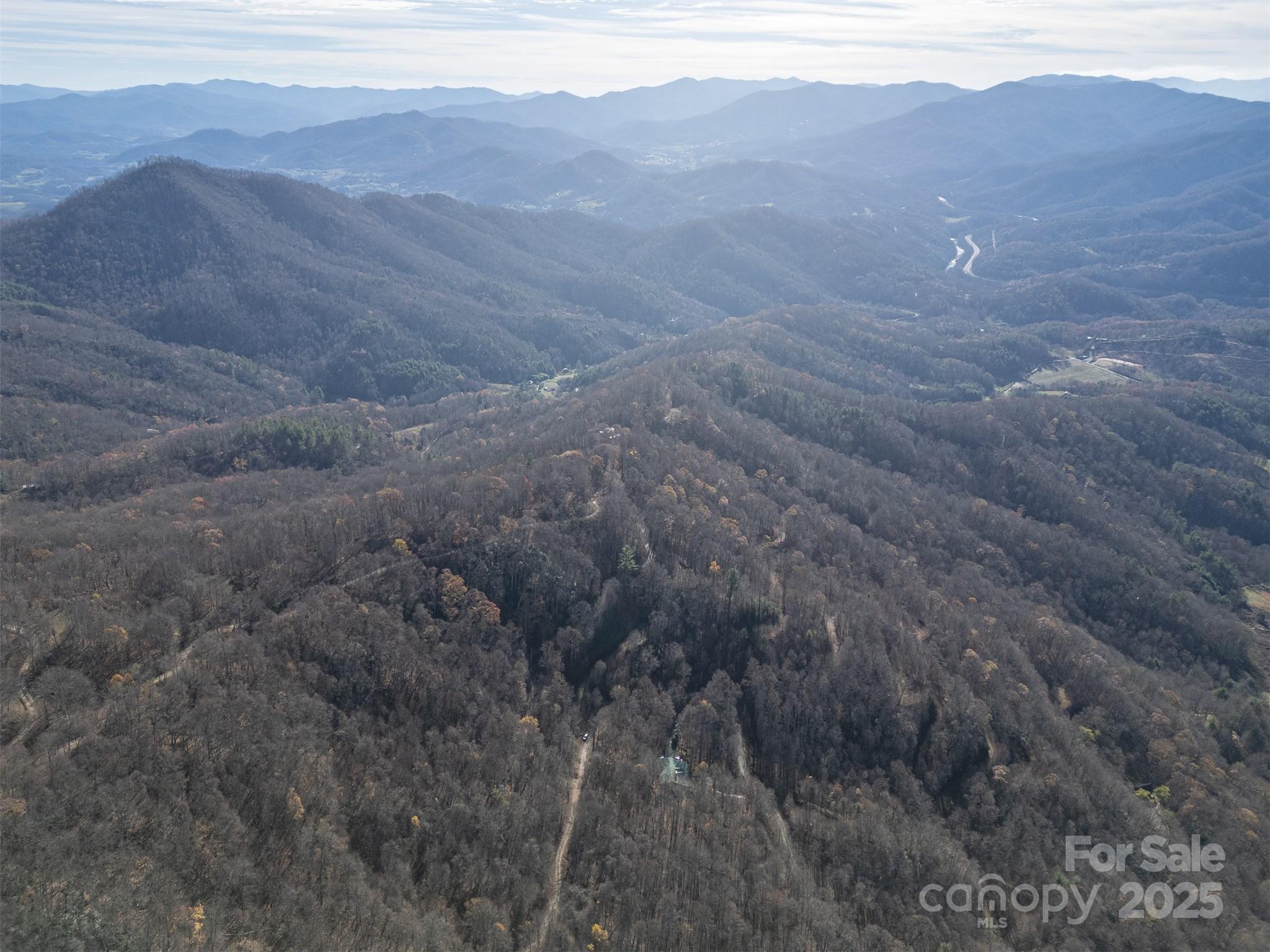 1098 Hyacinth Drive Clyde NC 28721
