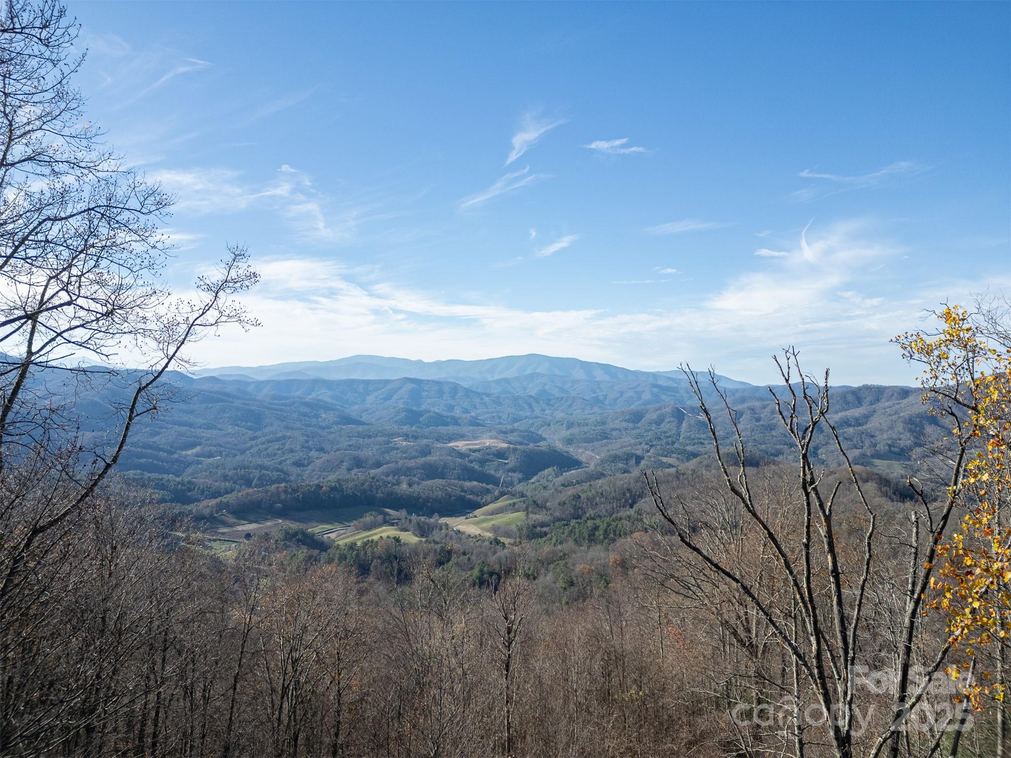 1098 Hyacinth Drive Clyde NC 28721