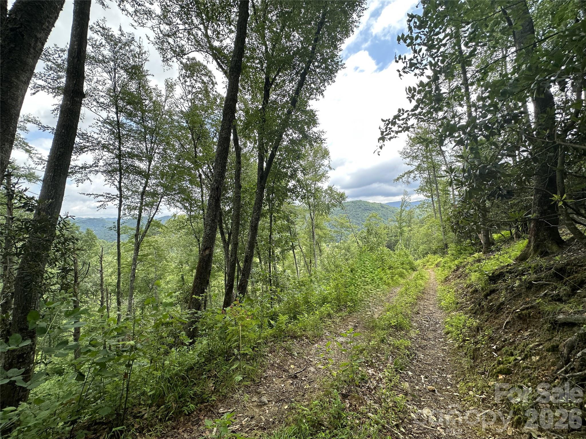 Tbd Nc Highway 194 S Sugar Grove NC 28679