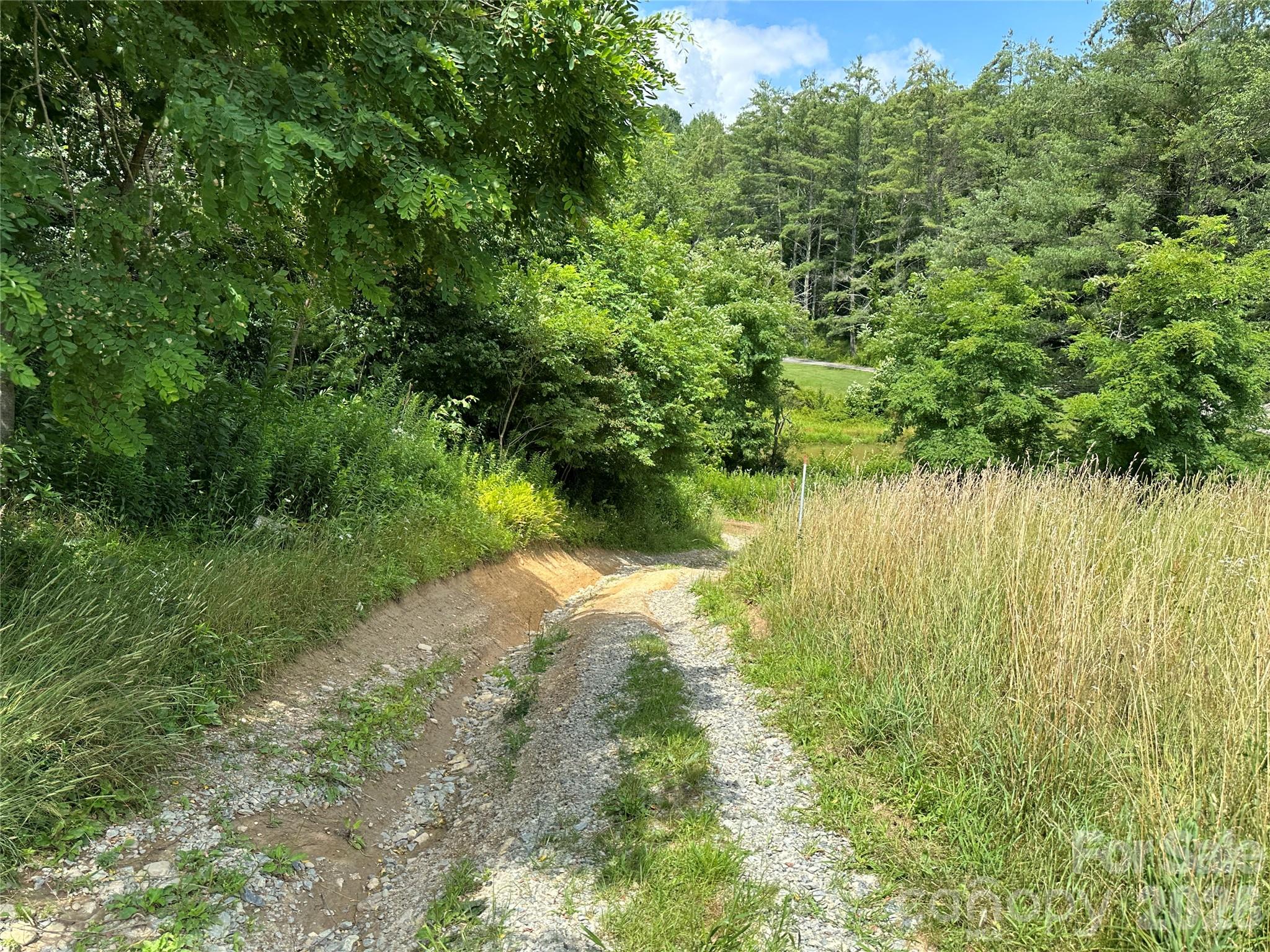Tbd Nc Highway 194 S Sugar Grove NC 28679