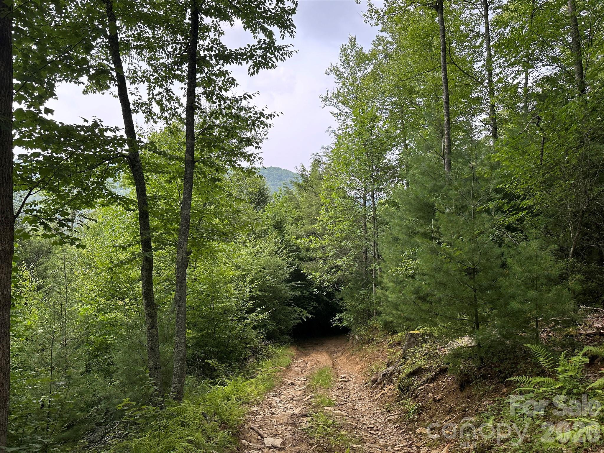 Tbd Nc Highway 194 S Sugar Grove NC 28679