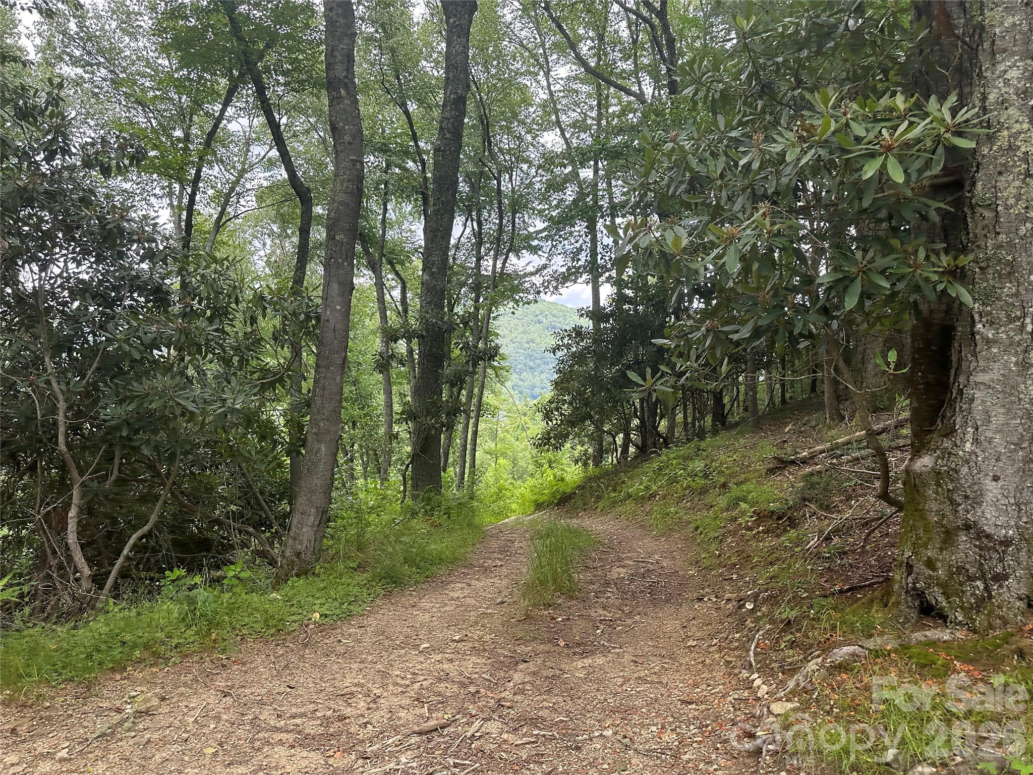 Tbd Nc Highway 194 S Sugar Grove NC 28679