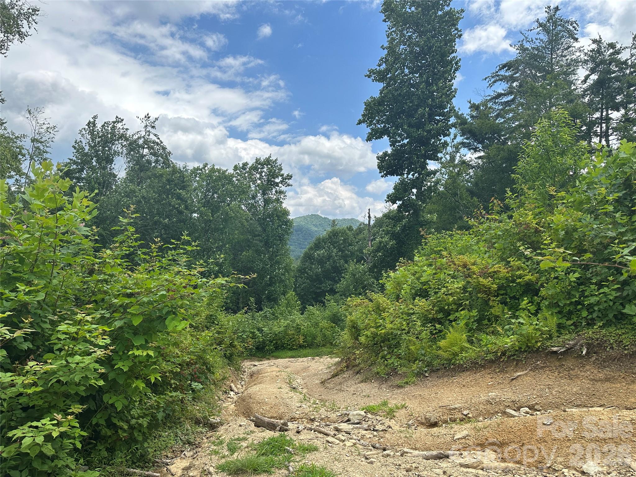Tbd Nc Highway 194 S Sugar Grove NC 28679