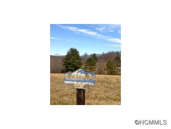 61 Water Hill Way Fletcher NC 28732