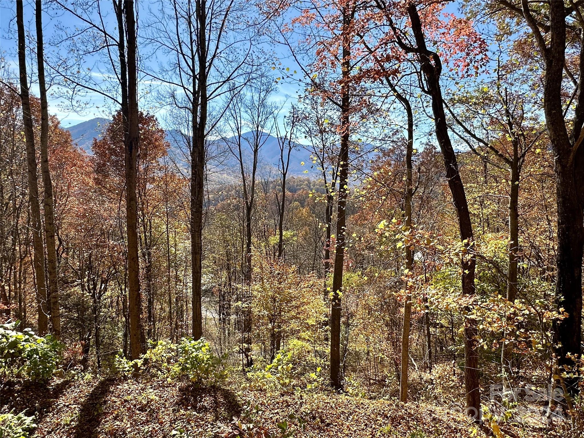 11 Trout Lily Lane Maggie Valley NC 28751