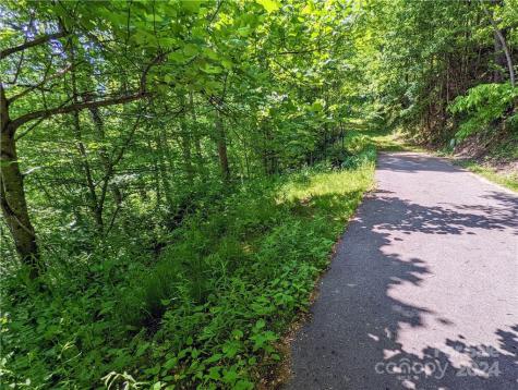 11 Trout Lily Lane Maggie Valley NC 28751