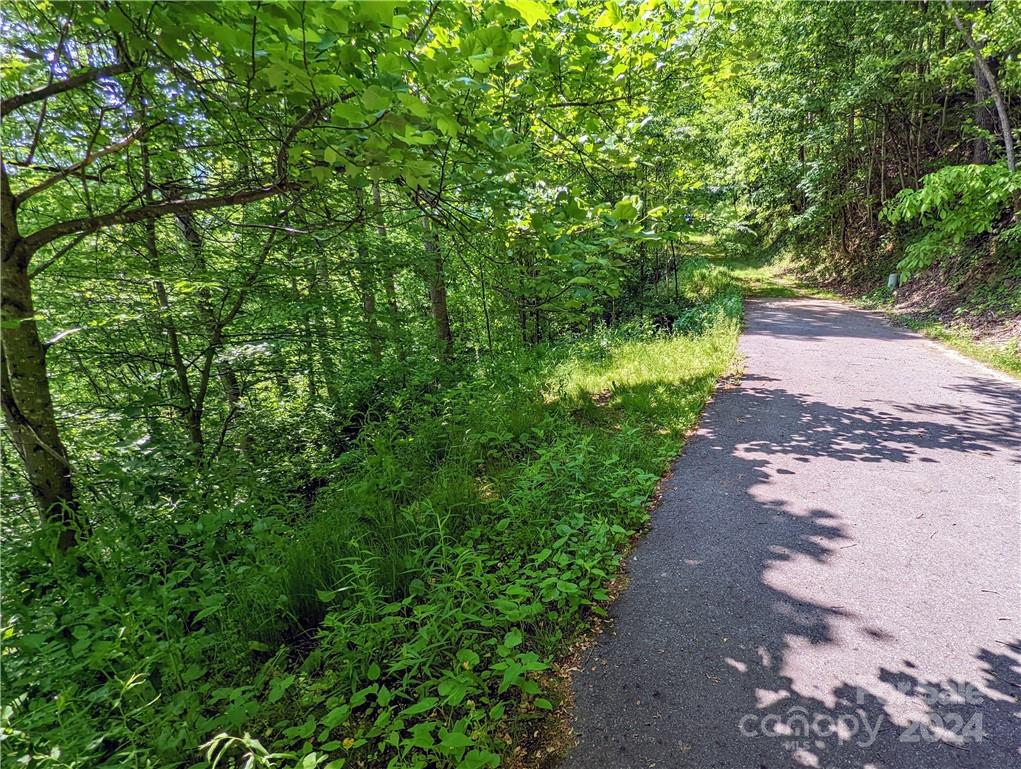 11 Trout Lily Lane Maggie Valley NC 28751