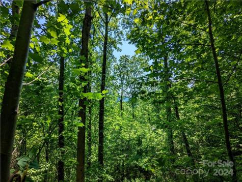 11 Trout Lily Lane Maggie Valley NC 28751