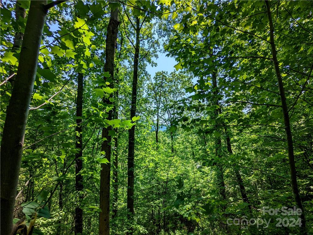 11 Trout Lily Lane Maggie Valley NC 28751