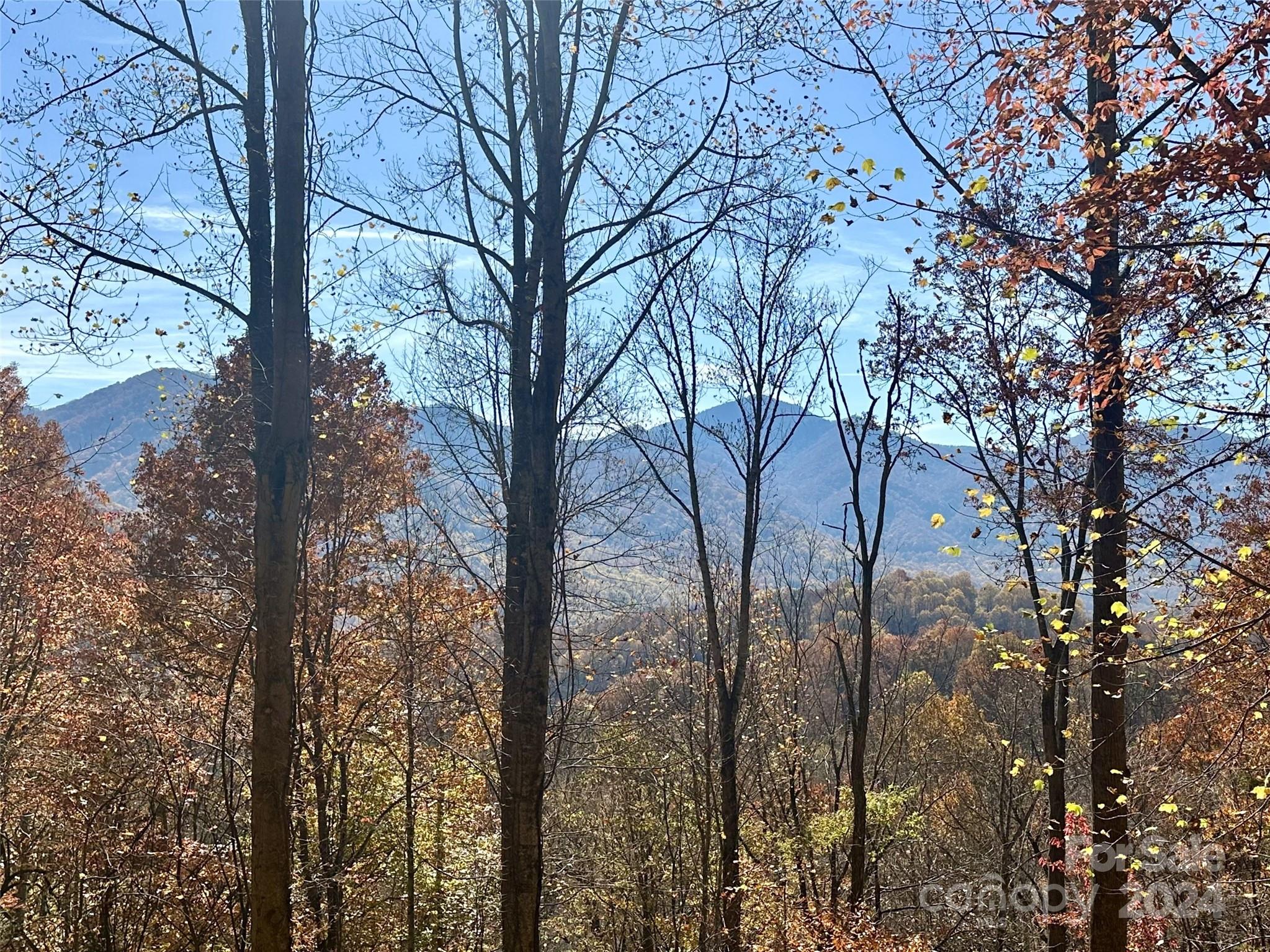 11 Trout Lily Lane Maggie Valley NC 28751