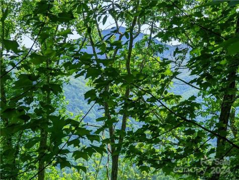 11 Trout Lily Lane Maggie Valley NC 28751