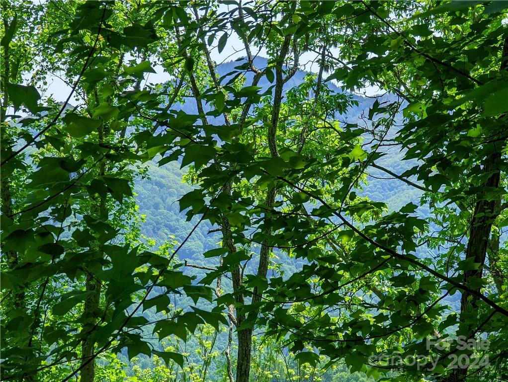 11 Trout Lily Lane Maggie Valley NC 28751