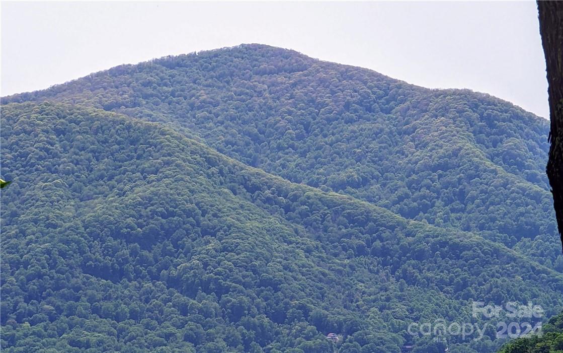 11 Trout Lily Lane Maggie Valley NC 28751
